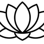 lotus flower vector